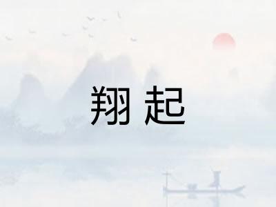 翔起