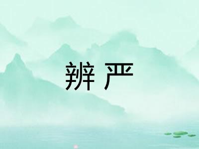 辨严