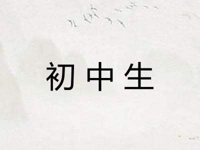 初中生