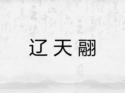辽天翮