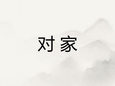 对家