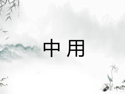 中用
