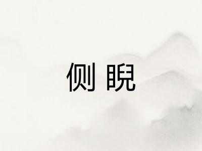 侧睨