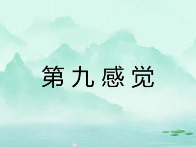 第九感觉