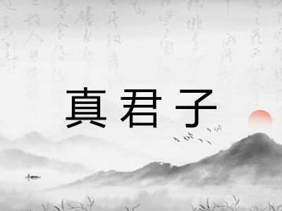 真君子