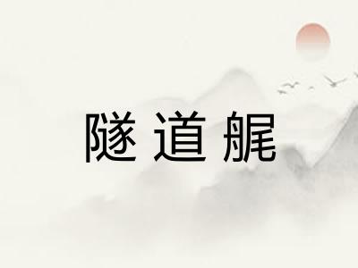 隧道艉