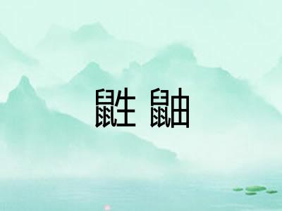 鼪鼬