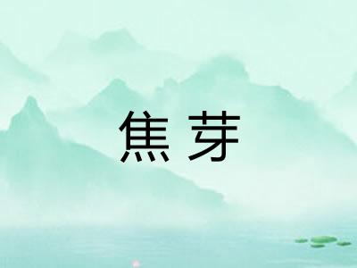 焦芽