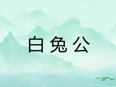 白兔公