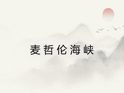 麦哲伦海峡