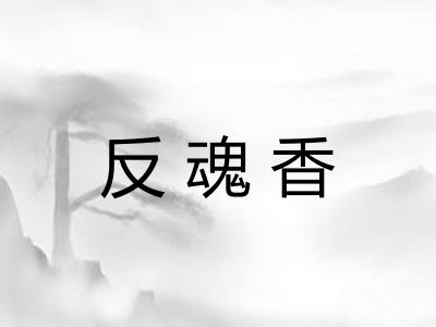 反魂香