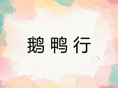 鹅鸭行