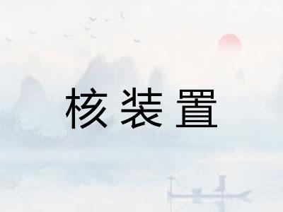 核装置