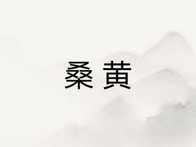桑黄
