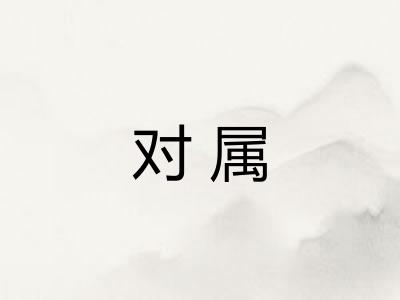 对属