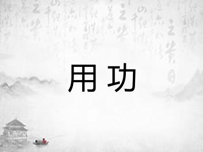 用功
