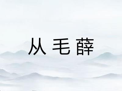 从毛薛