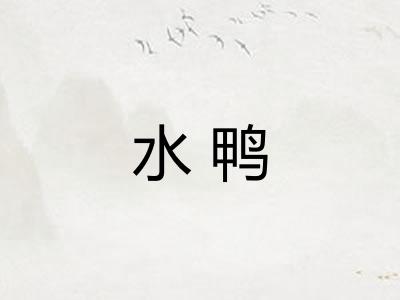 水鸭