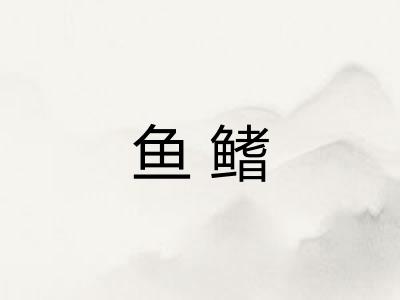 鱼鳍