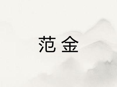 范金