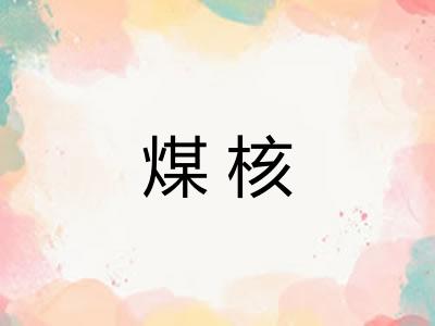 煤核