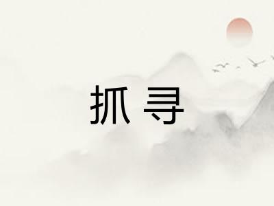 抓寻