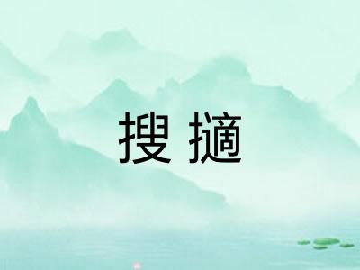 搜擿