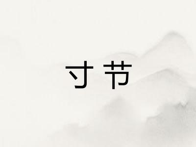 寸节