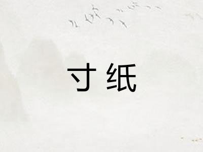 寸纸