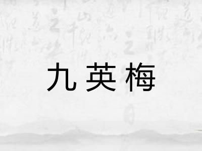 九英梅