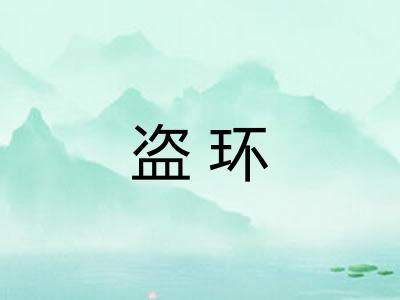 盗环