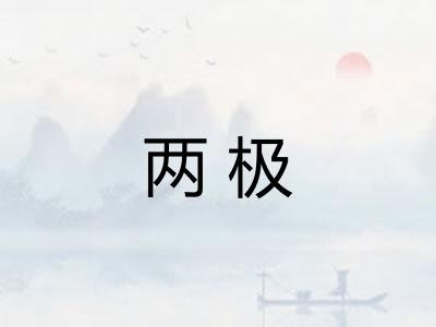 两极