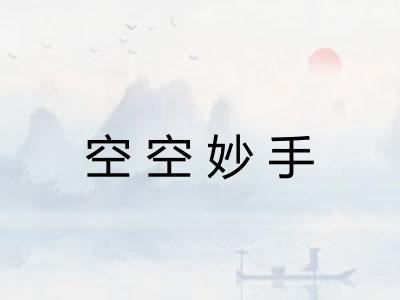 空空妙手