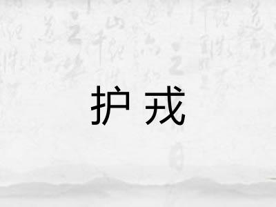 护戎