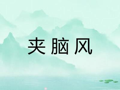 夹脑风