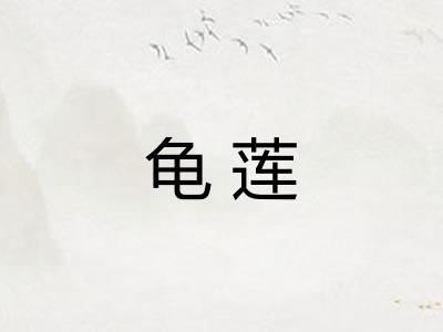 龟莲
