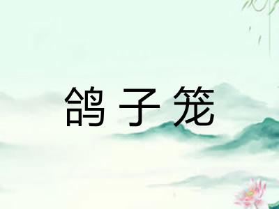 鸽子笼