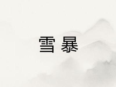 雪暴