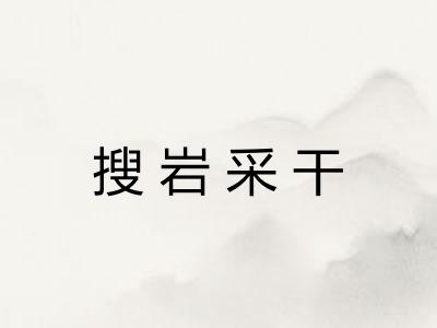 搜岩采干
