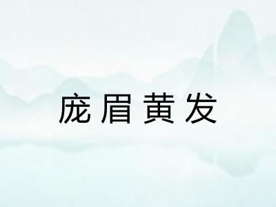 庞眉黄发
