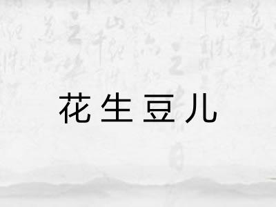 花生豆儿