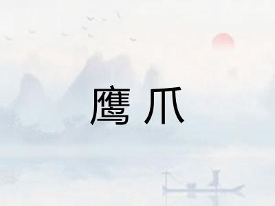 鹰爪