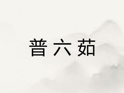 普六茹