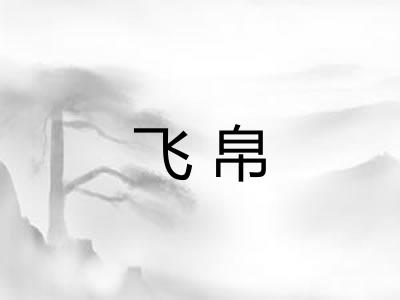 飞帛