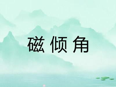 磁倾角