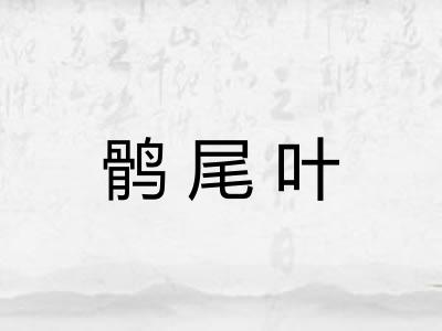 鹘尾叶