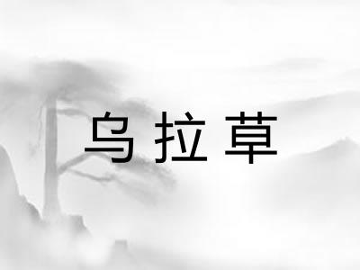 乌拉草