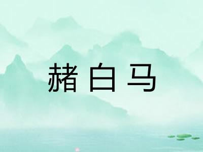 赭白马