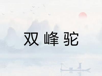 双峰驼