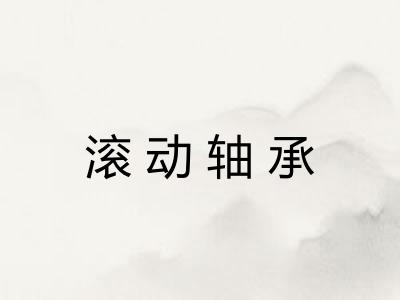 滚动轴承